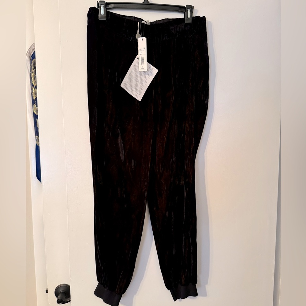 Alice+Olivia Black (multi) Velvet Joggers